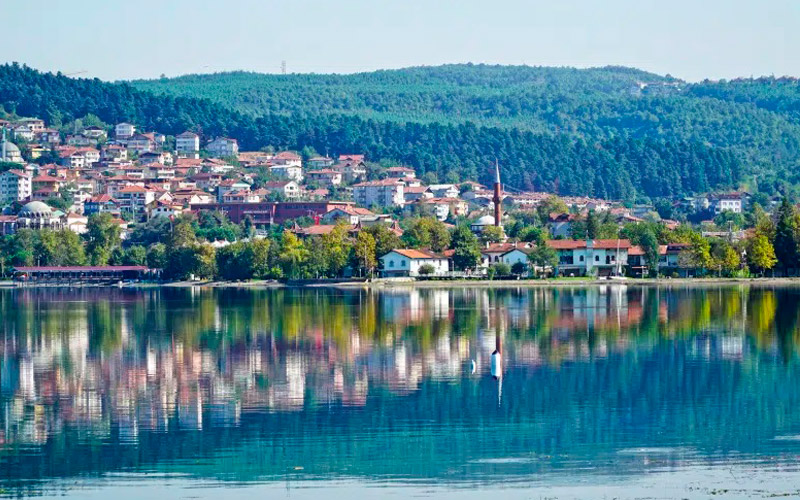 vip airport transfer sapanca tour